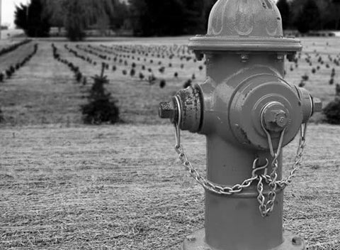 网页在线发短信平台